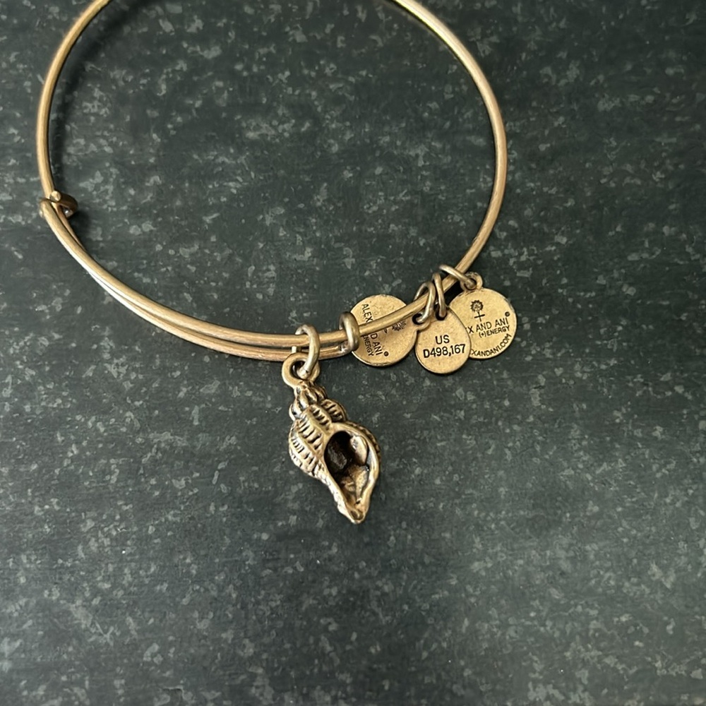 Alex & Ani adjustable bracelets. Set of 2. - Picture 2 of 5